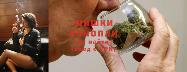 прущие грибы Кропоткин
