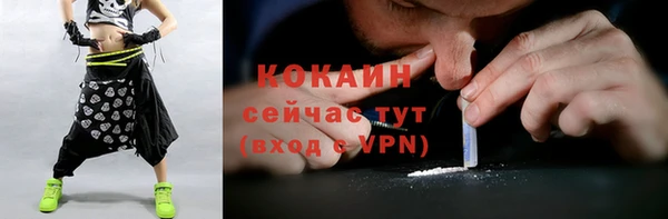 гидра Куровское