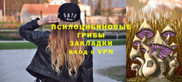 бошки Крымск
